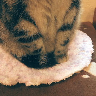 猫用　座布団