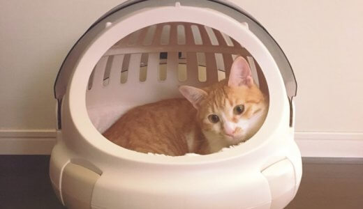 【コロル おでかけネコベッド】そのままキャリーにもなる猫ベッド