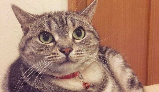 ヨガは冬でも素足が基本？