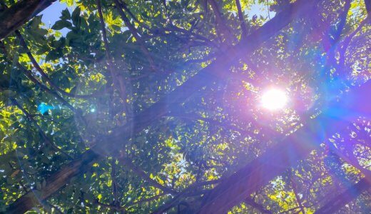 何のためにヨガをするのか？ひとつの理由。