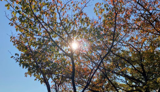 「なんか知らんけど幸せ」というお守りのような言葉。